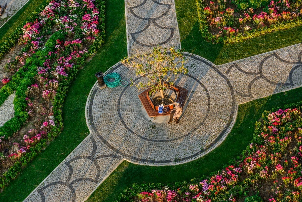 Landscaping Projects project photo