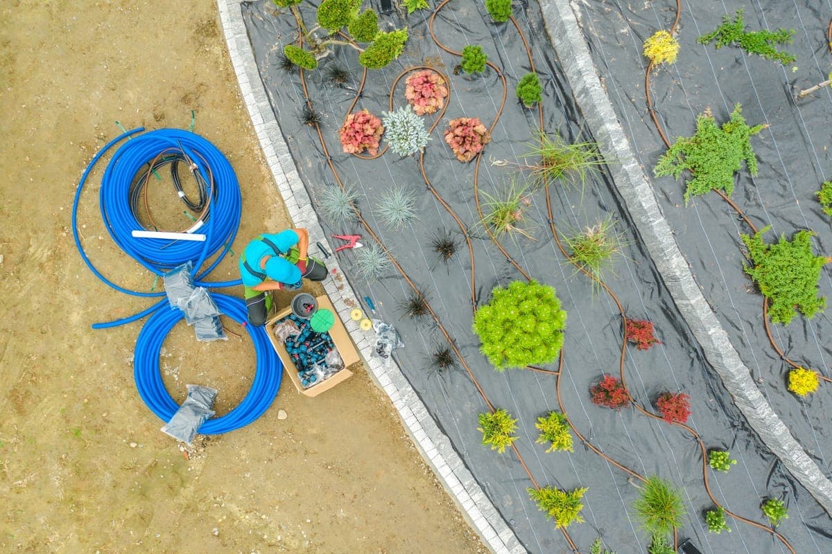 Lawn Transformations project photo