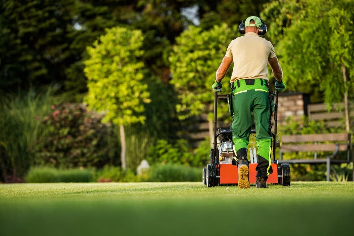 Essential Lawn Care Tips for Beginners